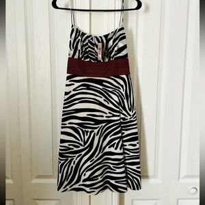 Ann Taylor Zebra Print dress NWT